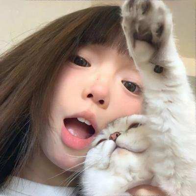 猫和老鼠旧版